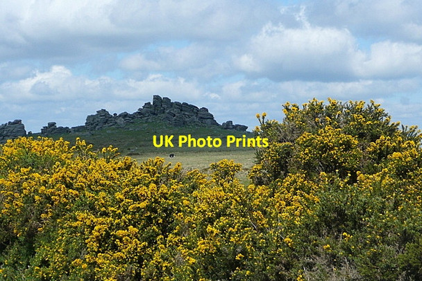 Photo 6"x4" Hound Tor Bonehill\/SX7277 c2012
