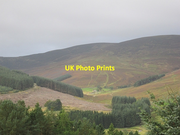 Photo 6"x4" Old Kirkhope Langhaugh\/NT2031 c2012