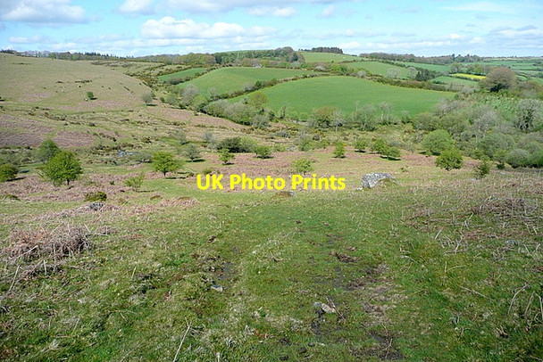 Photo 6"x4" Overlooking Natsworthy Heathercombe c2012