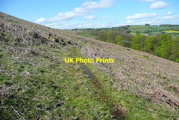 Photo 6"x4" Eastern flank of Hamel Down Heathercombe c2012
