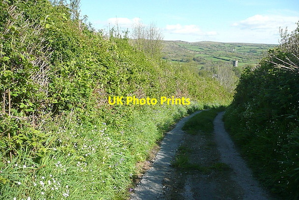 Photo 6"x4" Footpath towards Widecombe Higher Dunstone c2012