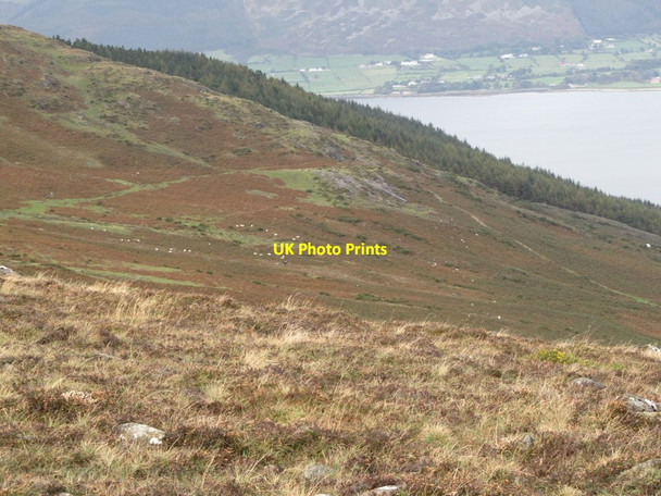Photo 6"x4" The T\u00c3\u00a1in Trail descending towards Carlingford Carlingford c2012