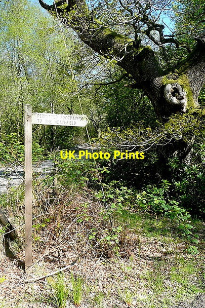 Photo 6"x4" Permissive path to the Heathfield Lutton\/SX5959 c2012