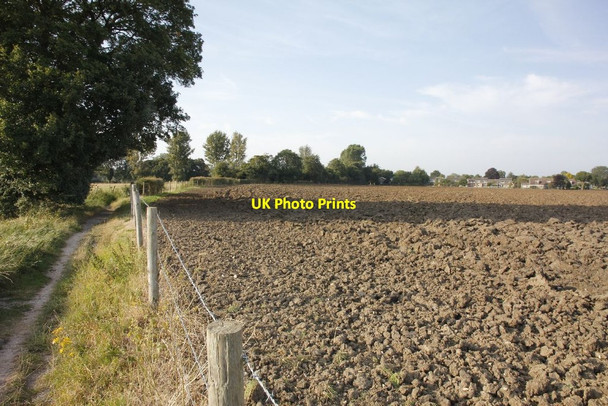Photo 6"x4" Field in Newnham Murren Wallingford c2012