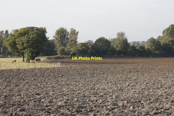 Photo 6"x4" A field at Newnham Murren Wallingford c2012