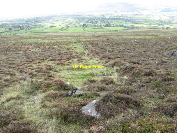 Photo 6"x4" A field boundary on the moorland Carlingford c2012