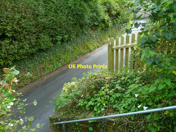 Photo 6"x4" The Orange Way in Wiltshire (29) Mere\/ST8132 c2012