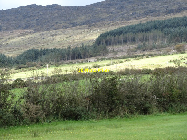 Photo 6"x4" Partially cleared forest and ruined farmhouse on the lower slopes of Slieve Foye Carlingford c2012