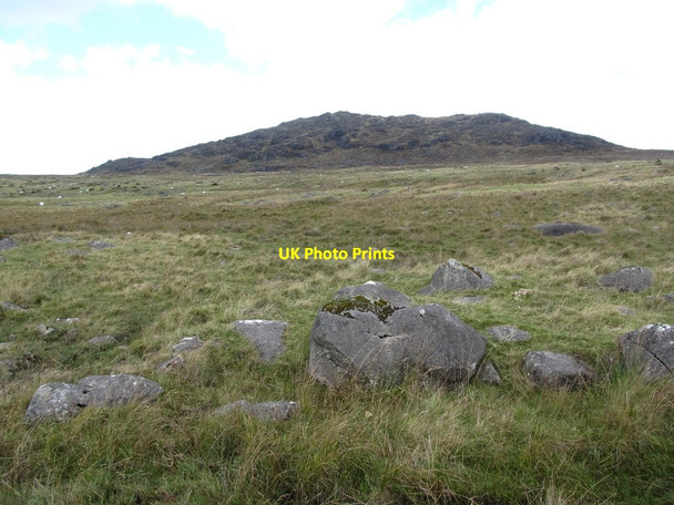 Photo 6"x4" Upland grazings on the west side of Slieve Foye from the Tain Way Carlingford c2012