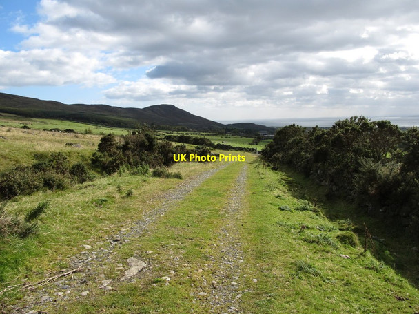 Photo 6"x4" The Tain Way trail just above the mountain gate Carlingford c2012