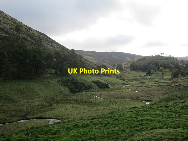 Photo 6"x4" Glen Sax Bonnington\/NT2538 c2012