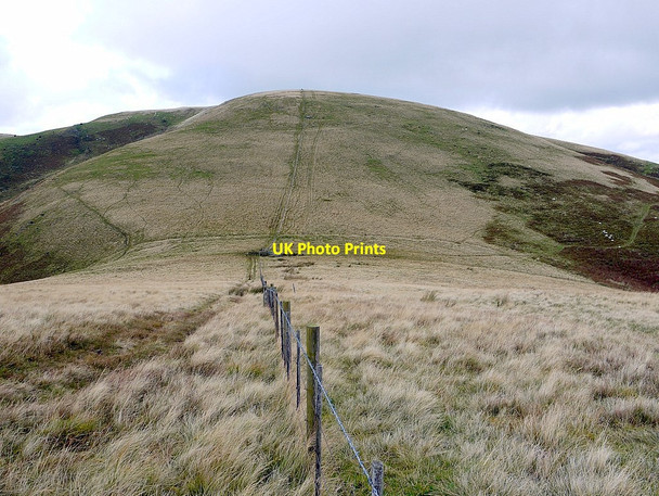 Photo 6"x4" Linear earthwork below White Law Old Halterburnhead c2012