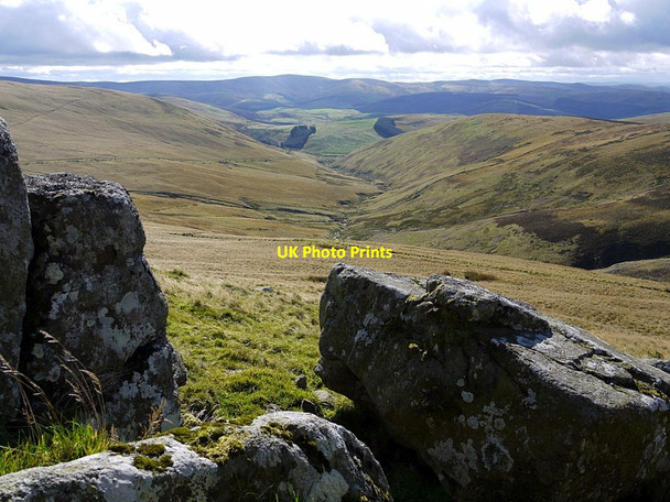 Photo 6"x4" Row Hope from Corbie Craig Sourhope c2012