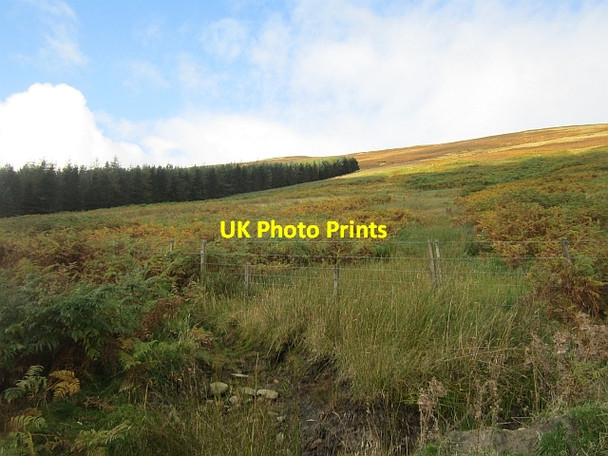 Photo 6"x4" Bracken covered slope Hundleshope c2012