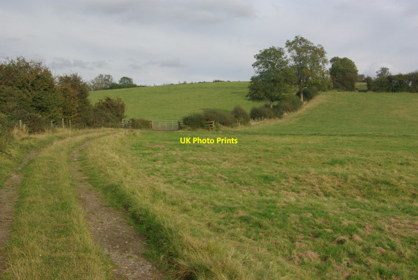 Photo 6"x4" Track to Priors Hardwick Priors Hardwick c2012