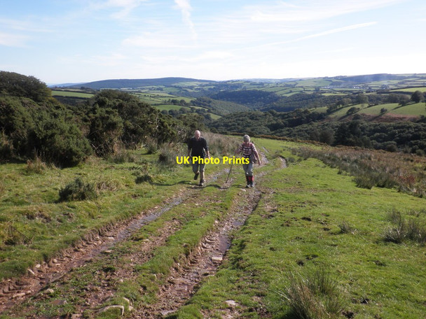 Photo 6"x4" Climbing towards Dunkery Gate Codsend c2012