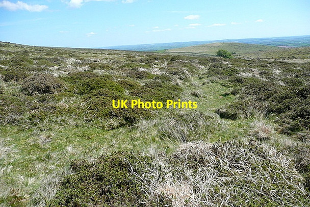 Photo 6"x4" Near Glaze Head Badworthy c2012