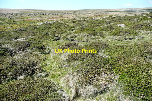 Photo 6"x4" Near Glaze Head Badworthy c2012