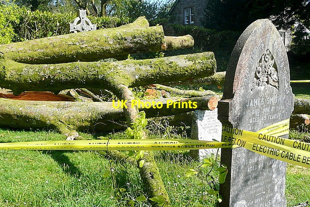 Photo 6"x4" Harford churchyard, storm damage (5) Harford\/SX6359 c2012