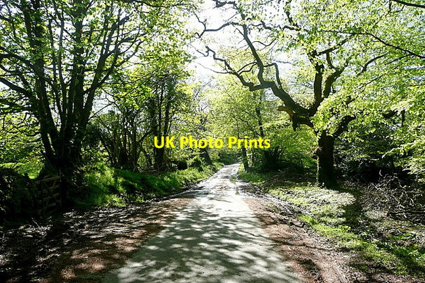 Photo 6"x4" Lane from Harford Harford\/SX6359 c2012