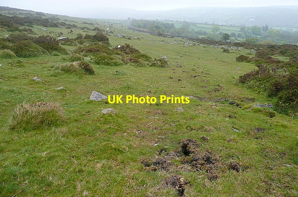 Photo 6"x4" Bridleway at Merrifield Plantation Badworthy c2012