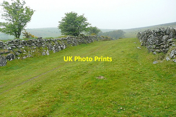Photo 6"x4" Bridleway to Merrifield Plantation Badworthy c2012
