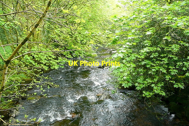 Photo 6"x4" River Avon Didworthy c2012