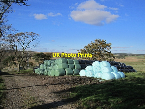 Photo 6"x4" Silage store Auchengray c2012