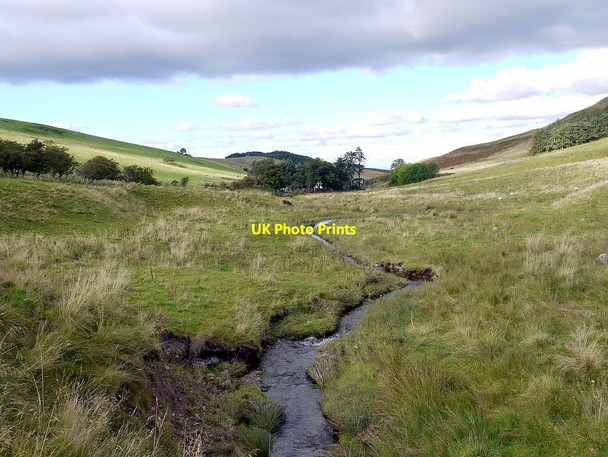 Photo 6"x4" Halter Burn east of Pennine Way Kirk Yetholm c2012
