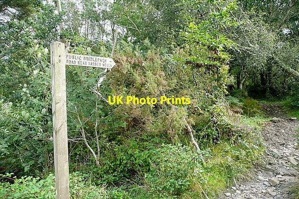 Photo 6"x4" Bridleway to road near Yarner Wells Haytor Vale c2012