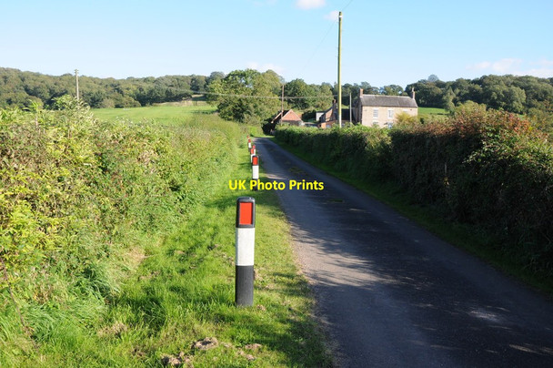 Photo 6"x4" Road to Upper Hill Farm Bevington c2012