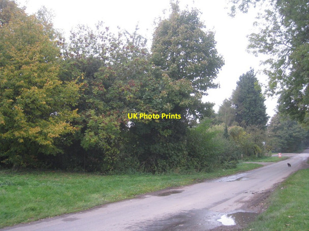 Photo 6"x4" Wood Lane South Wheatley\/SK7685 c2012