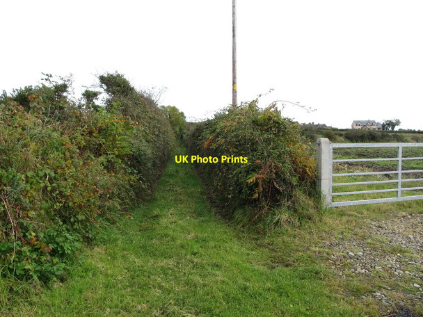 Photo 6"x4" Green lane leading from Drummanmore Road to the Whitewater River Kilkeel c2012