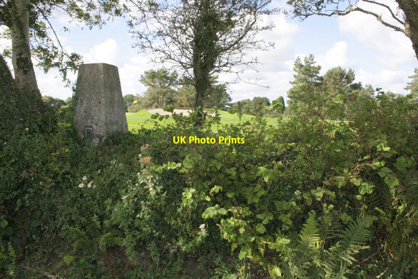 Photo 6"x4" Trig point on Lyme Regis golf course hedge Lyme Regis c2012