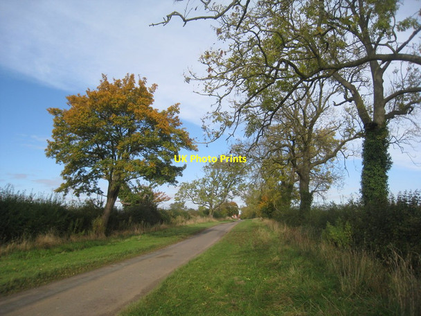 Photo 6"x4" Bracken Lane Cawkeld c2012