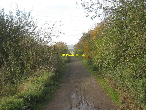 Photo 6"x4" The Crosby to Flixborough footpath Flixborough c2012