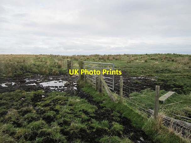 Photo 6"x4" Gate on Longstone Hill Warenford c2012