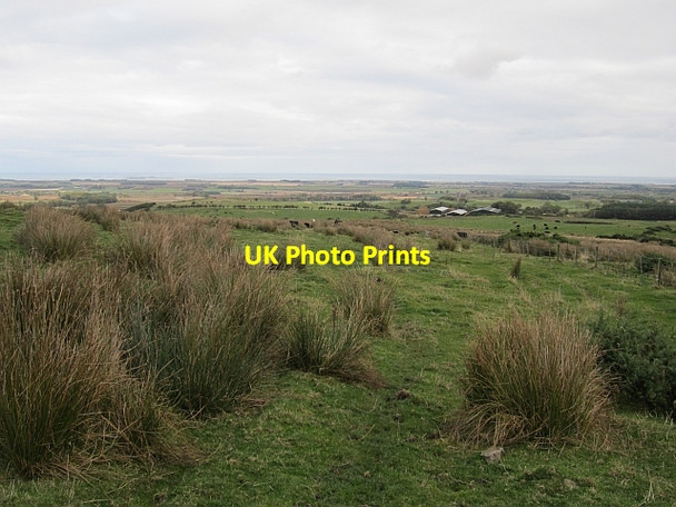 Photo 6"x4" Rayheugh Moor Warenford c2012