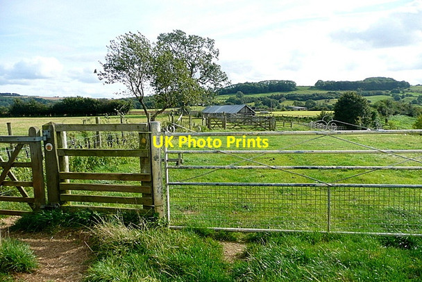 Photo 6"x4" Cotswold Way at Pye Corner Coppice Buckland\/SP0836 c2012