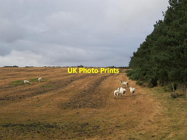 Photo 6"x4" Herbicide treatment Greendykes\/NU0628 c2012
