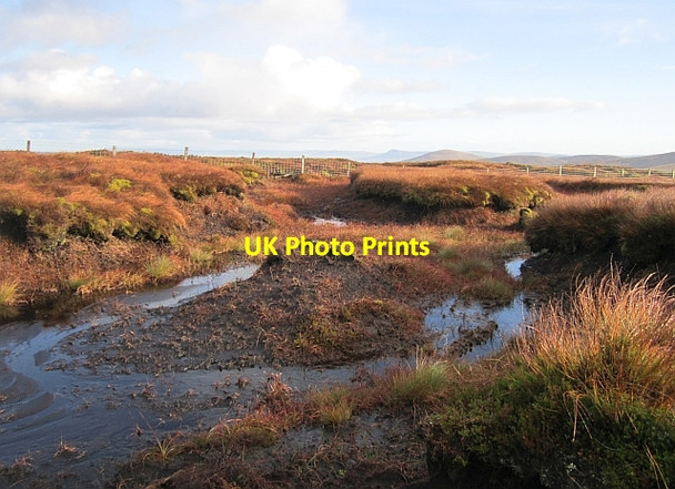 Photo 6"x4" A Sperrin bog Cranagh c2012