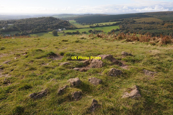 Photo 6"x4" Summit cairn, Gray Hill Llanvair-Discoed c2012