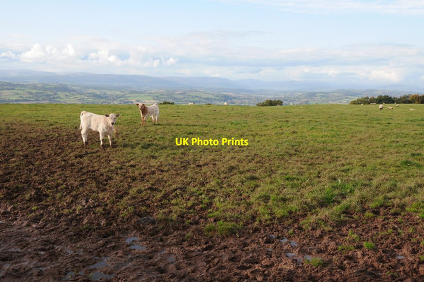 Photo 6"x4" View over the Usk valley Pen-y-cae-mawr c2012