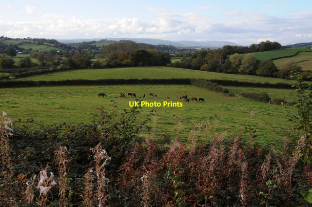 Photo 6"x4" Usk farmland Usk\/Brynbuga c2012