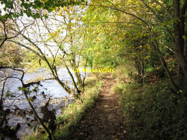 Photo 6"x4" The Dales Way Appletreewick c2012