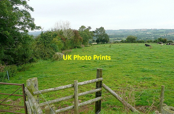 Photo 6"x4" Cattle pasture near Clapton Clapton-on-the-Hill c2012 P1