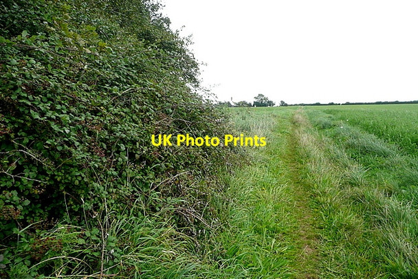 Photo 6"x4" Restricted Byway - Sabrina Way Clapton-on-the-Hill c2012