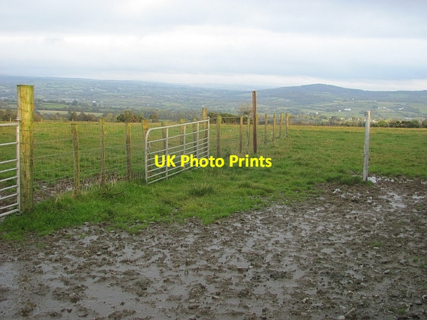 Photo 6"x4" Muddy gateway, Ballynacor Killygordon c2012
