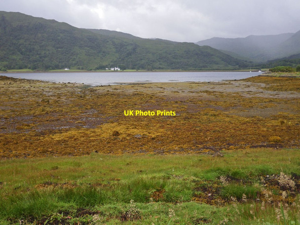 Photo 6"x4" Marsh and tidelands along Loch Sunart Ardery c2012