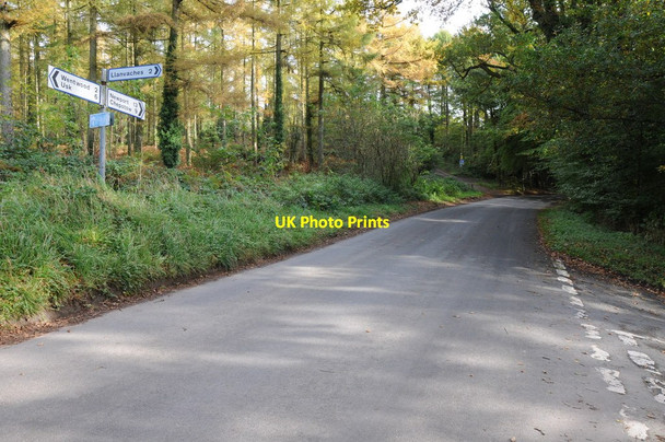 Photo 6"x4" Road junction at Forester's Oaks Llanvaches c2012